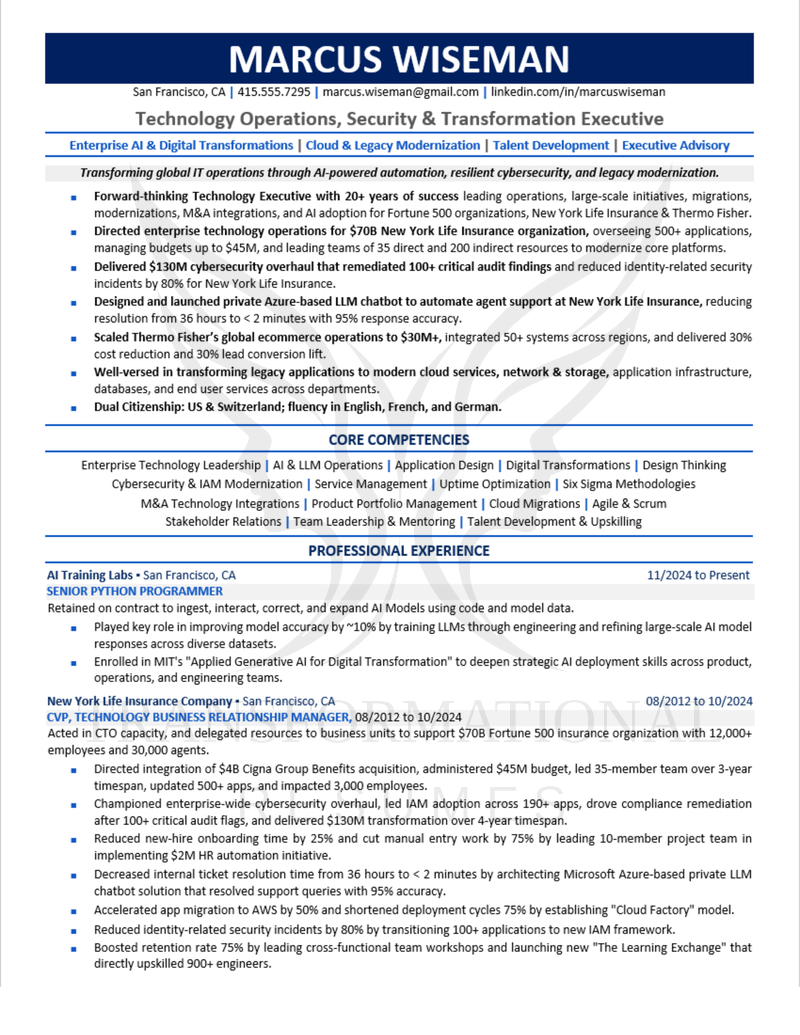 Technology Executive Leader resume sample